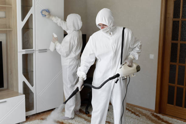 24/7 Emergency Odor Removal experts in Pottsville, PA